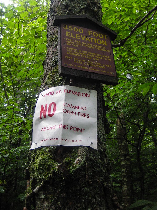 A Scenic Escape: Table Mountain, New York outdoor detail