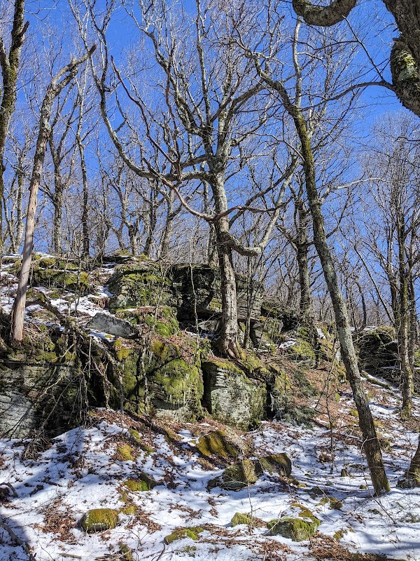 A Scenic Escape: Table Mountain, New York surrounding landscape