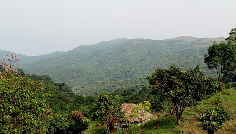 Discovering Ngel Nyaki Forest Reserve - Ngel Nyaki Forest Reserve