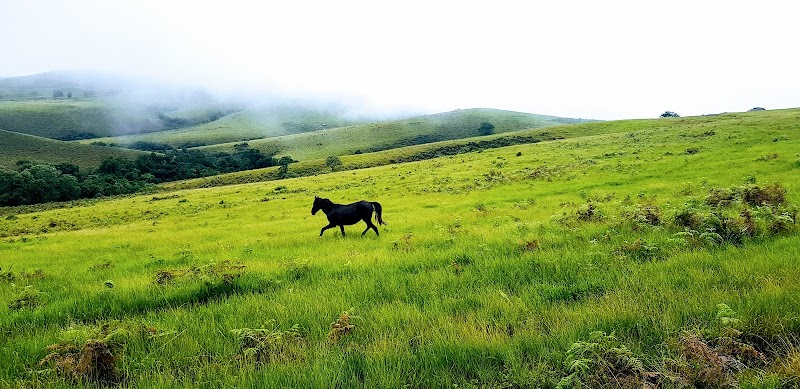 Discovering Ngel Nyaki Forest Reserve - Ngel Nyaki Forest Reserve