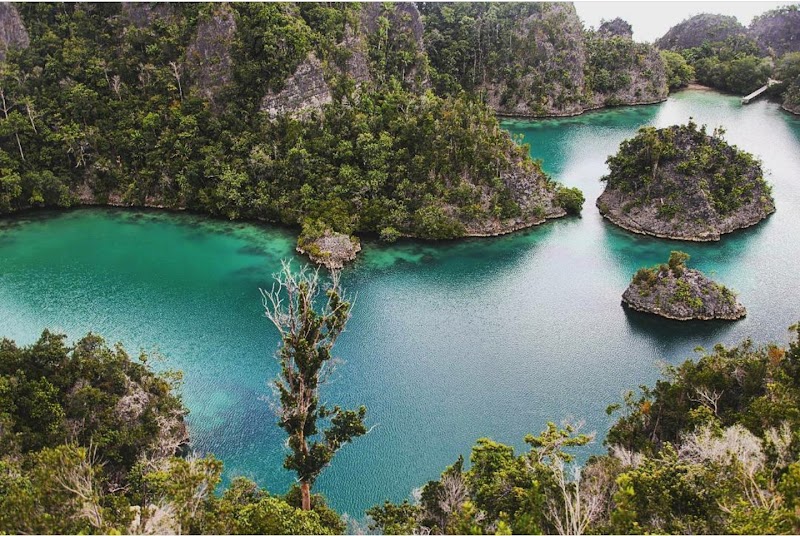 Paradise in Raja Ampat: A Natural Masterpiece - Raja Ampat Regency