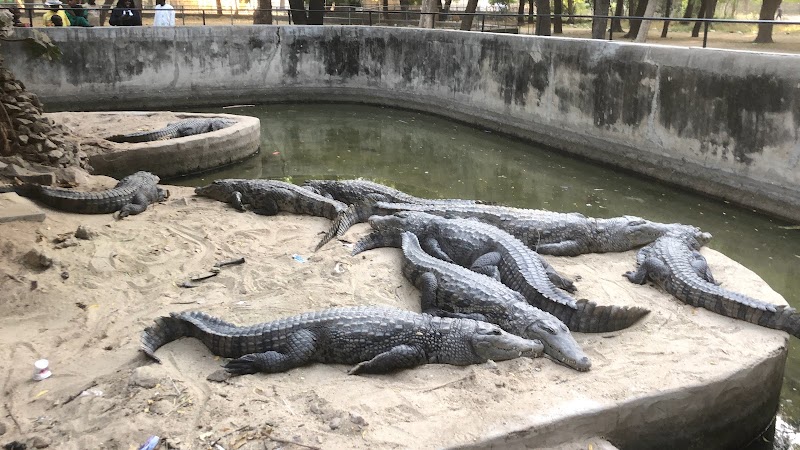 Wildlife Encounter at Sanda Kyarimi Park - Sanda Kyarimi Park
