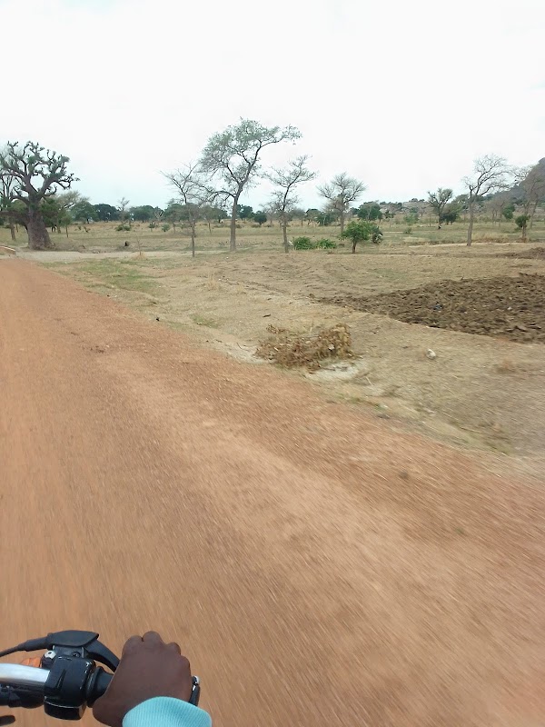 Discover the Natural Charm of Bogoro - Bogoro