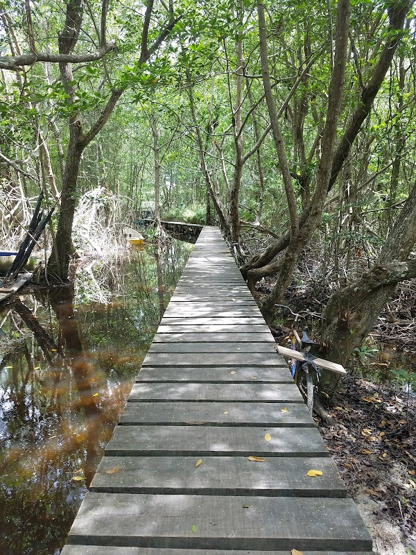 Discover the Serenity of Laguna de Cacao - Laguna de Cacao