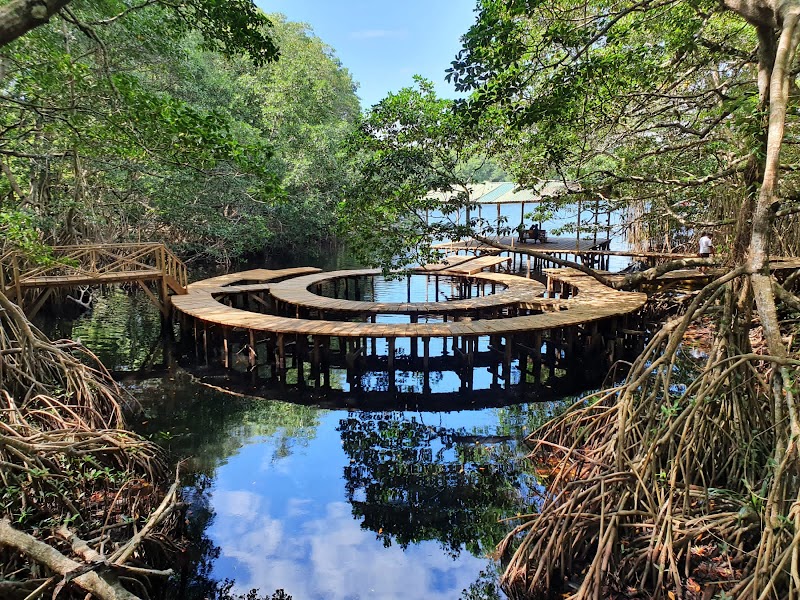 Discover the Serenity of Laguna de Cacao - Laguna de Cacao