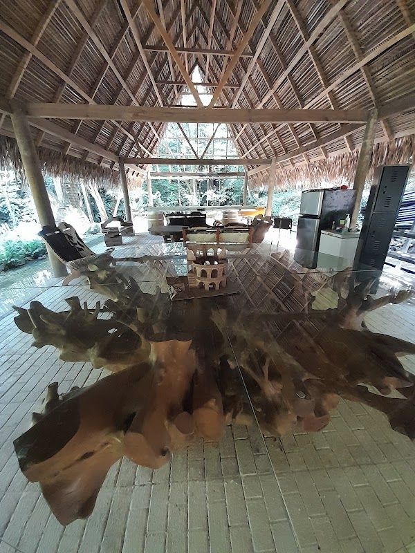 Aerial Adventures at Sambo Creek Canopy Tours and Spa - Sambo Creek Canopy Tours and Spa