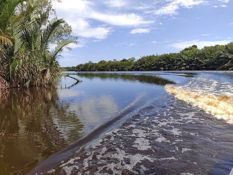 Tranquility Along Sungai Tutong - Sungai Tutong