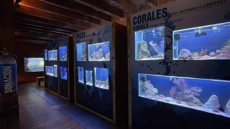 Discover Tela Marine's Aquatic Wonders - Tela Marine