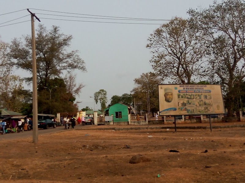 Cornfields of Bida: A Verdant Mosaic - Bida