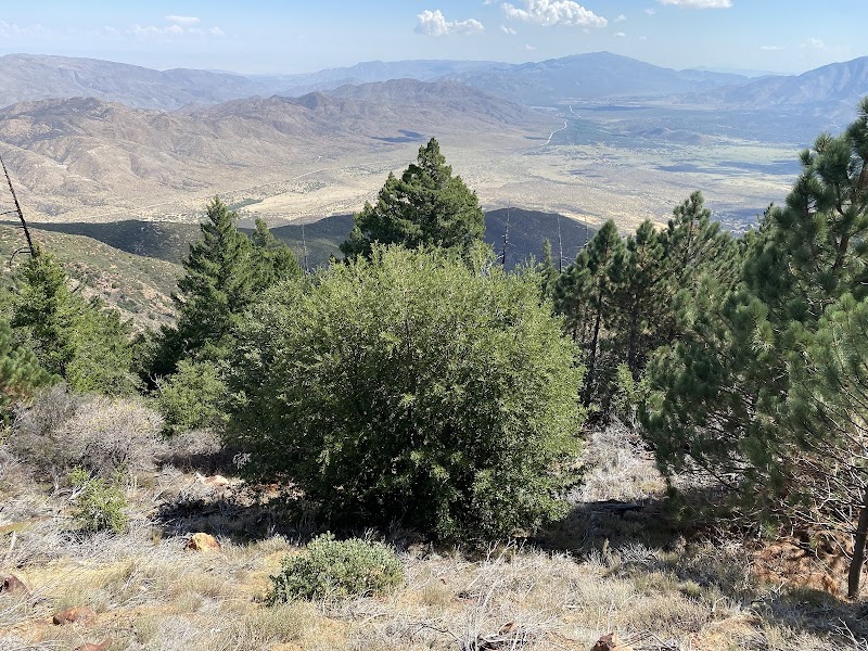 Majestic Views of Volcan Mountains outdoor detail
