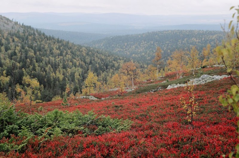 Rocky Majesty at Денежкин Камень - Государственный природный заповедник "Денежкин Камень"