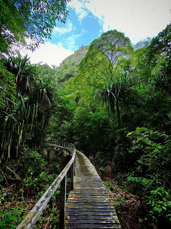 Caves of Wonder: Niah National Park - Niah National Park