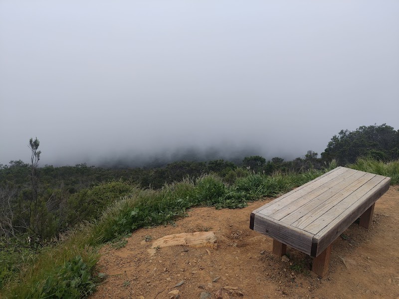 Stunning Views at Black Mountain surrounding landscape