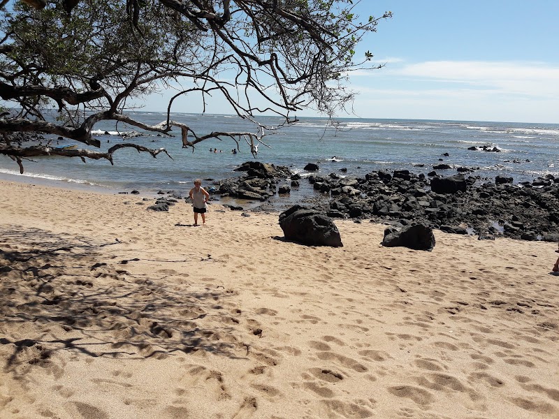Tropical Retreat at Playa Los Cobanos - Playa Los Cobanos