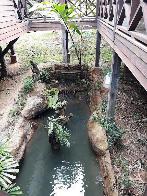 Enchantment in the Heart of Borneo: Maliau Basin - Maliau Basin Conservation Area | Yayasan Sabah