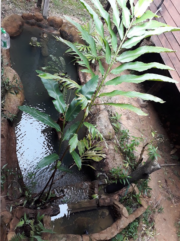 Enchantment in the Heart of Borneo: Maliau Basin - Maliau Basin Conservation Area | Yayasan Sabah