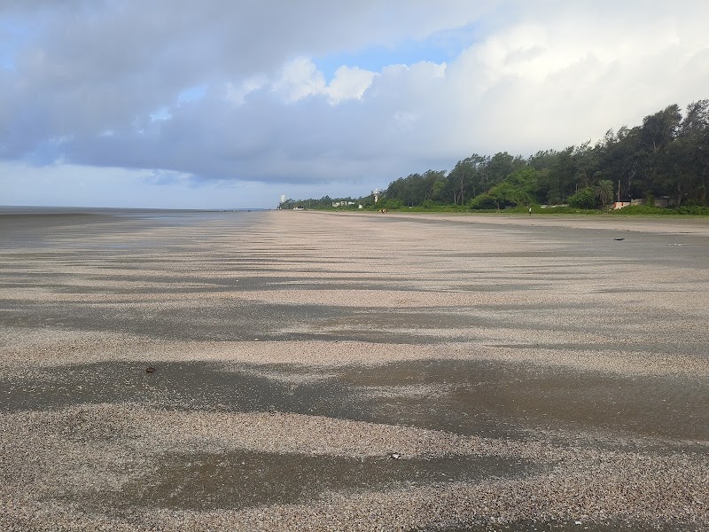 Enchanting Tides of Chandipur - Chandipur Sea Beach