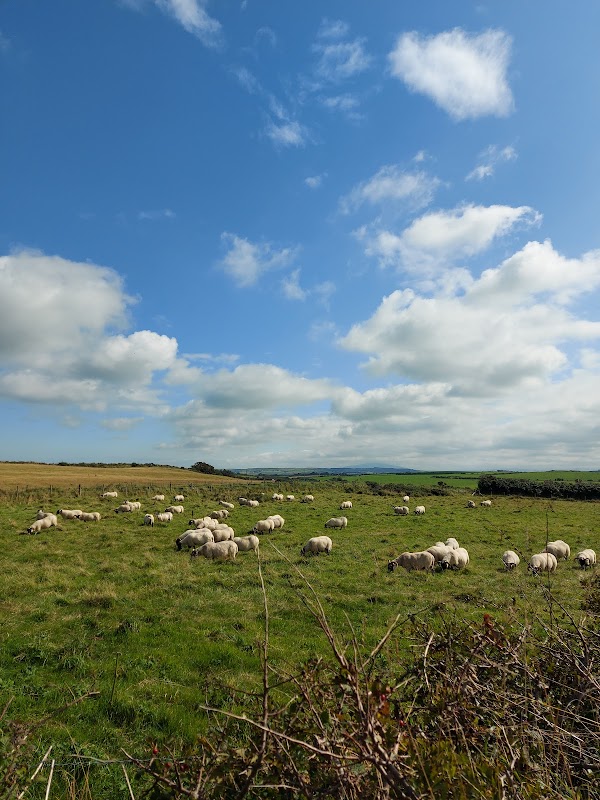 The Legendary Landscape of Giant's Causeway - Giant's Causeway Trails