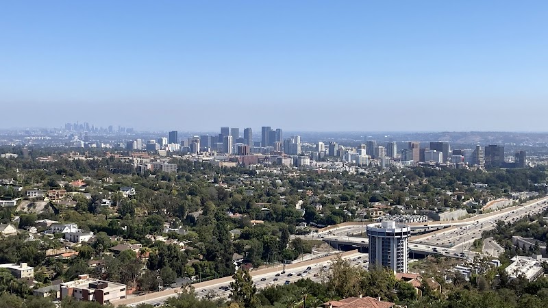Urban Oasis: Discovering Westwood - Westwood