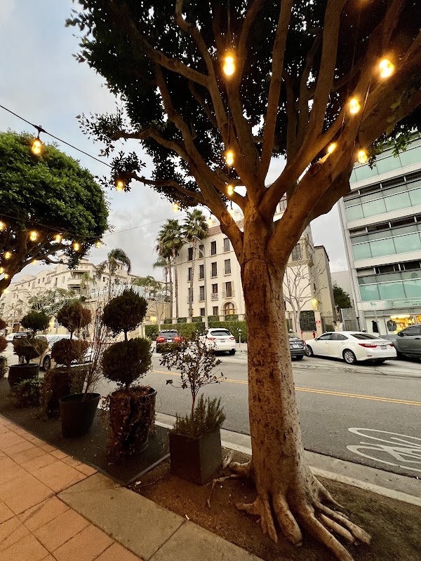 Urban Oasis: Discovering Westwood - Westwood
