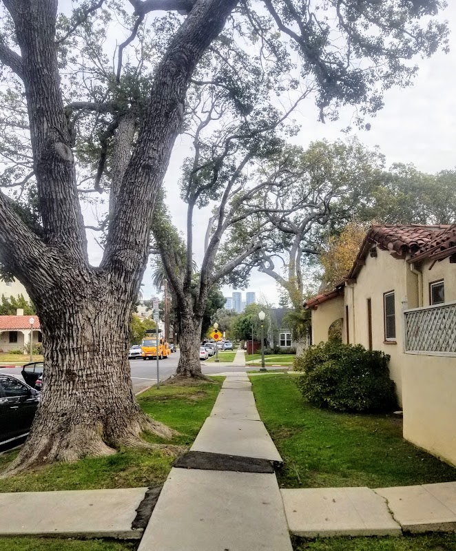 Urban Oasis: Discovering Westwood surrounding landscape