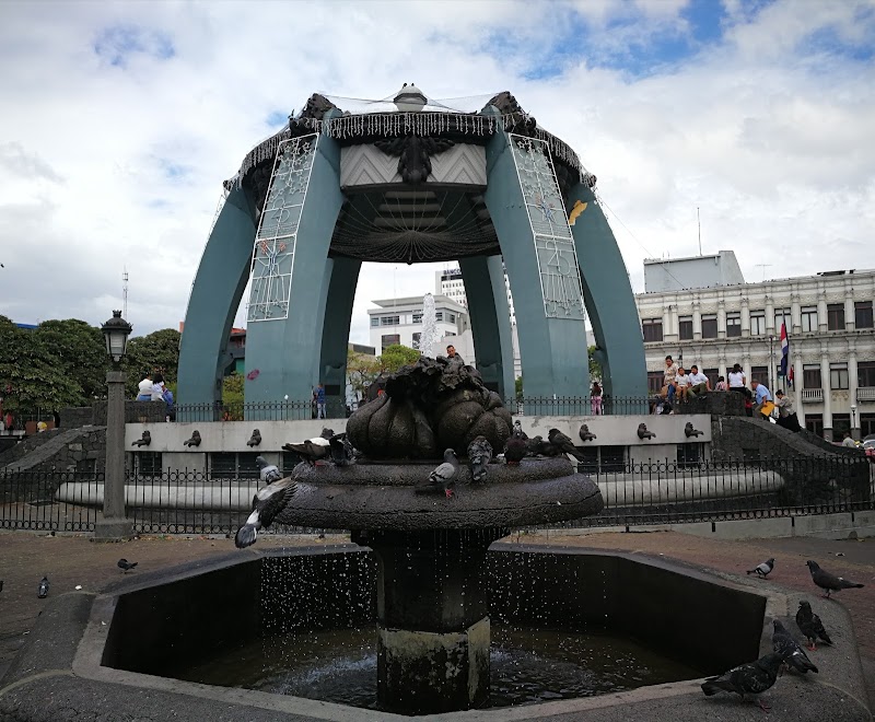 Vibrant Vibes of San José - San José