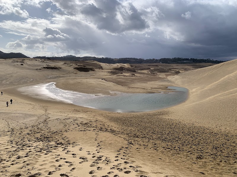 Dunes & Waves: Discover Tottori Sand Dunes - Tottori Sand Dunes