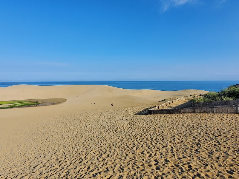Tottori Sand Dunes and Lake Koyama Wildlife Protection Area adventures