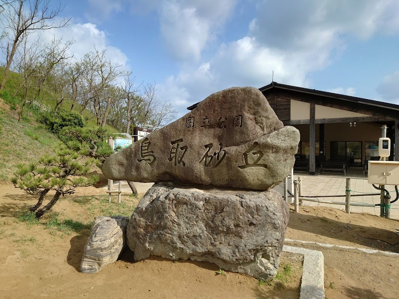 Dunes & Waves: Discover Tottori Sand Dunes - Tottori Sand Dunes