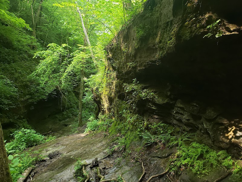 Discover the Unique Grand Canyon of Pomona - Grand Canyon