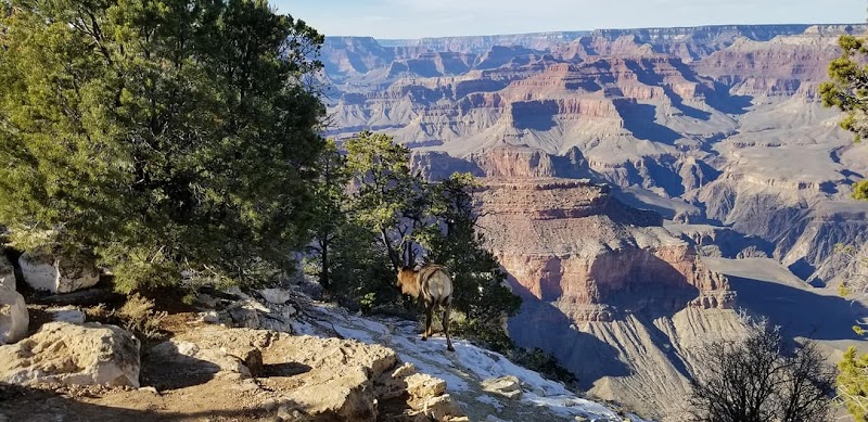 Majestic Views at Grand Canyon Village - Grand Canyon Village