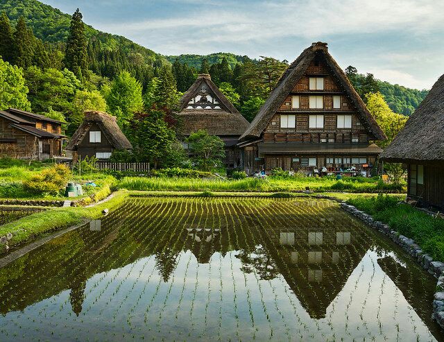 Experience the Timeless Beauty of Shirakawa - Shirakawa