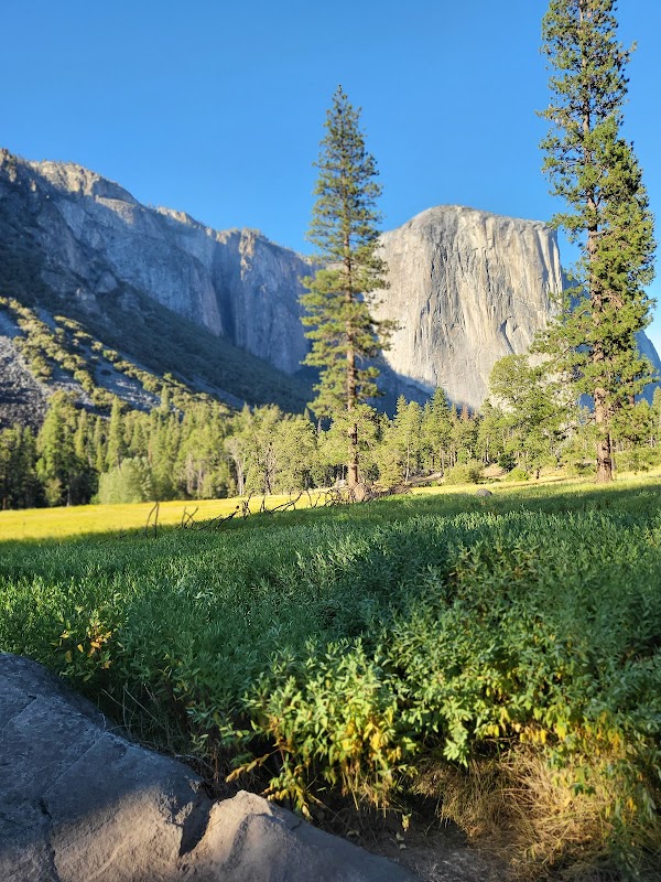 Hiking the Majestic Yosemite Valley Loop Trail - Yosemite Valley Loop Trail