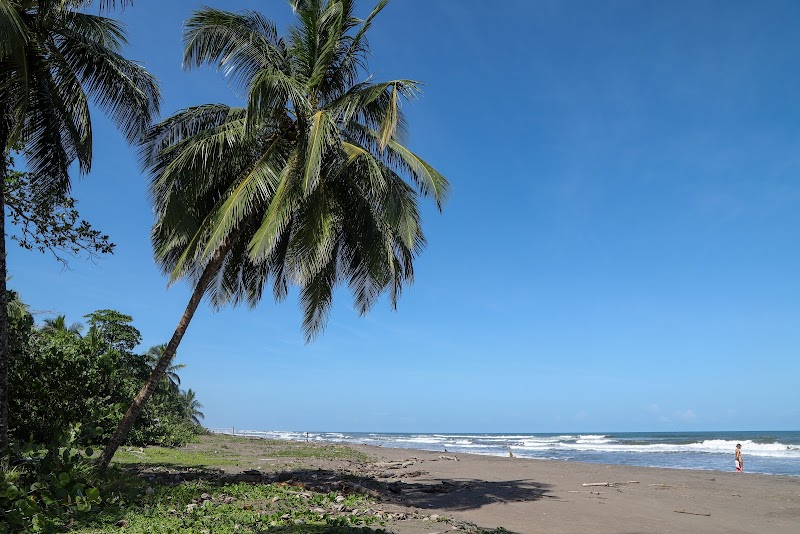 Wild Wonders of Parque Nacional Tortuguero - Parque Nacional Tortuguero