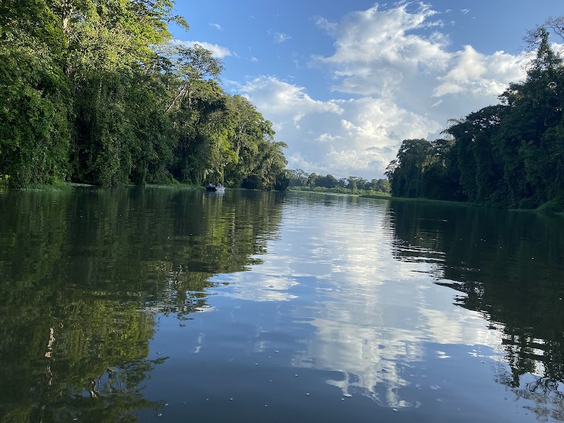 Wild Wonders of Parque Nacional Tortuguero - Parque Nacional Tortuguero