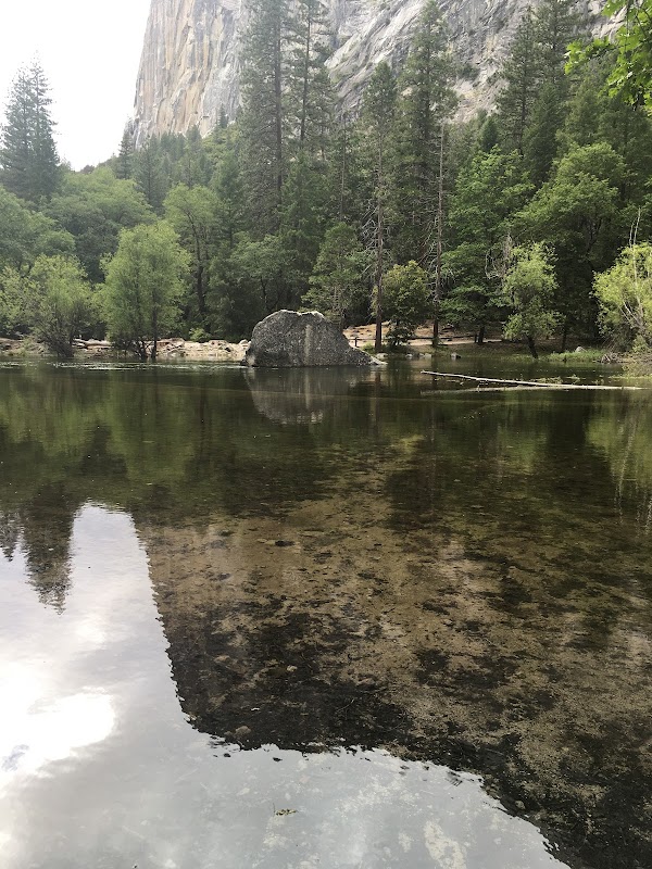 Majestic Views of Yosemite Valley surrounding landscape