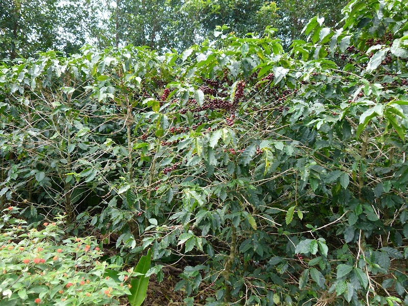 Thumbnail 8
