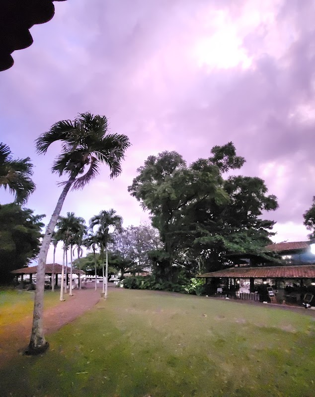 Tropical Escape: La Casona de Pedregal - La Casona de Pedregal