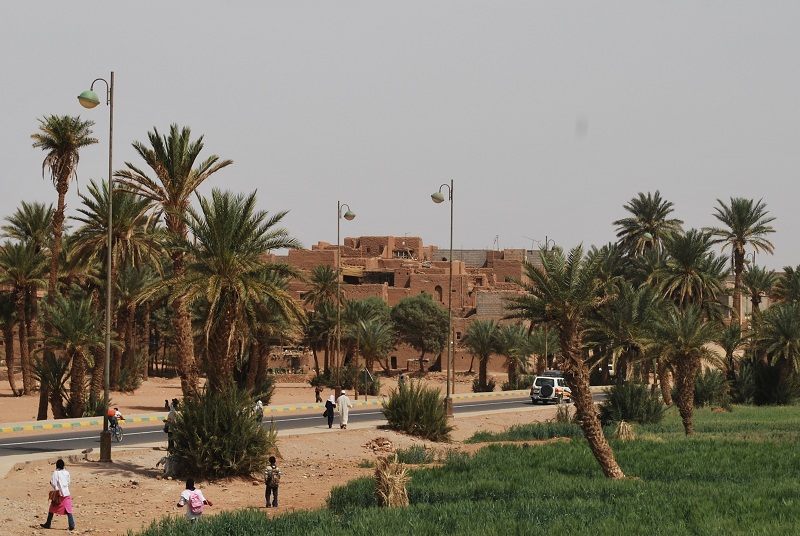 Desert Oasis: Tamegroute's Unique Charm - Tamegroute