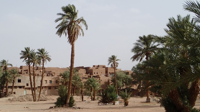 Desert Oasis: Tamegroute's Unique Charm - Tamegroute