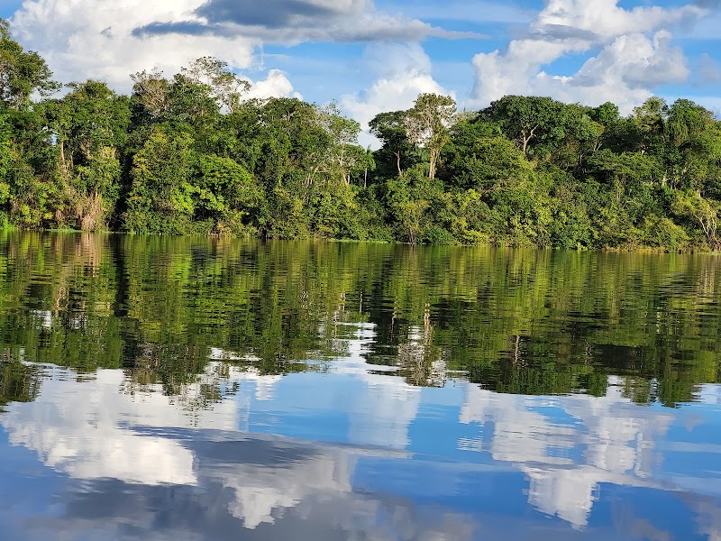 Reflective Waters of Lago Mamori - Lago Mamori