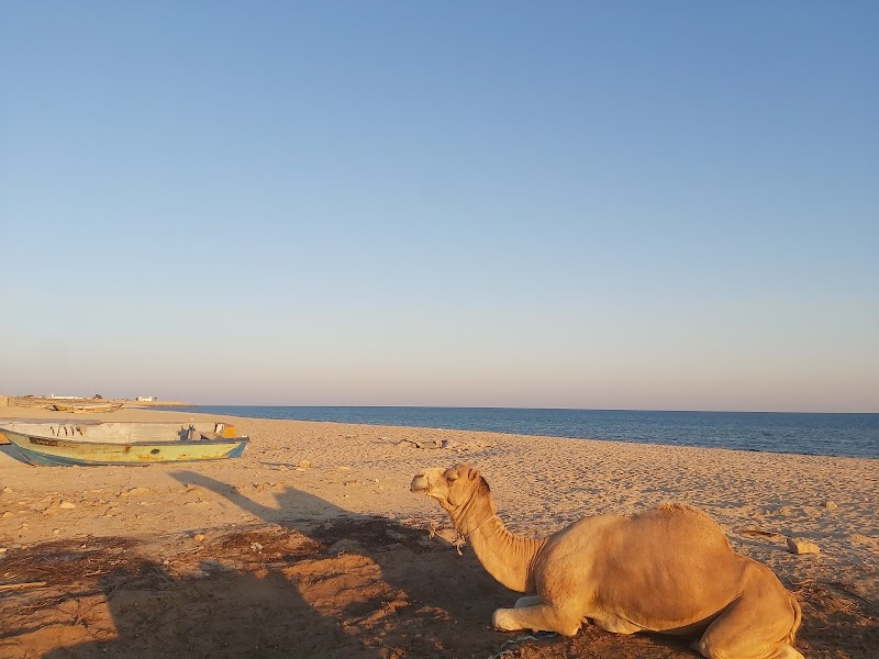 Coastal Wonders of Qeshm - Qeshm