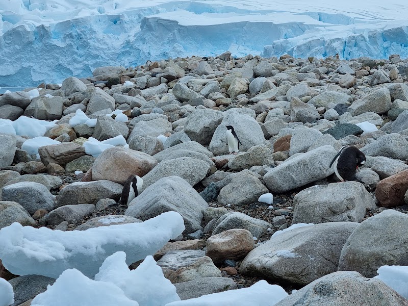 Vast Wilderness: Antarctica's Breathtaking Shores - Antarctica