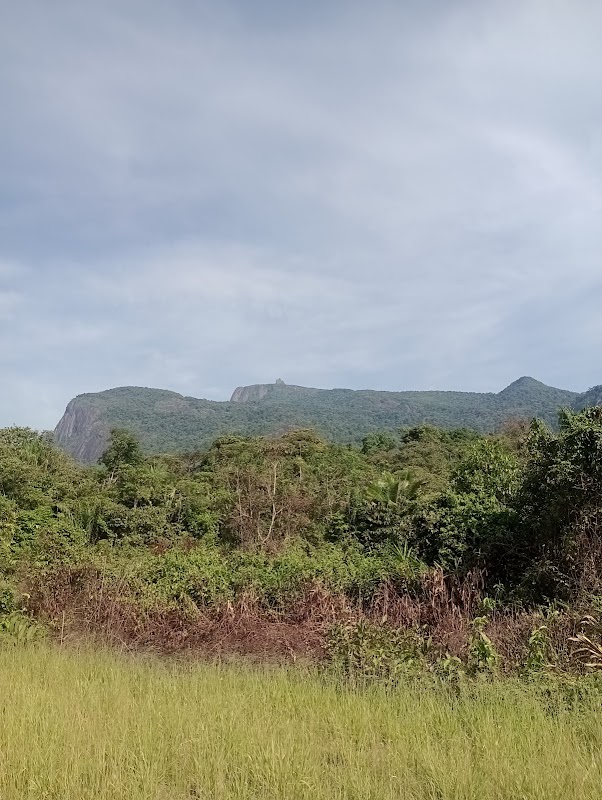 Majestic Peaks of Parque Estadual Serra do Aracá - Parque Estadual Serra do Aracá