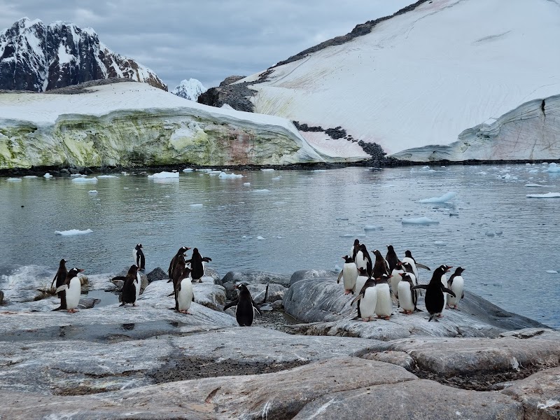 Glacial Wonders of Lemaire Channel - Lemaire