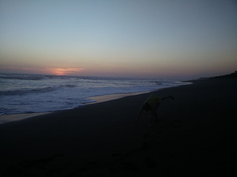 Discover the Natural Wonder of Isla Juan Venado - Reserva Natural Isla Juan Venado