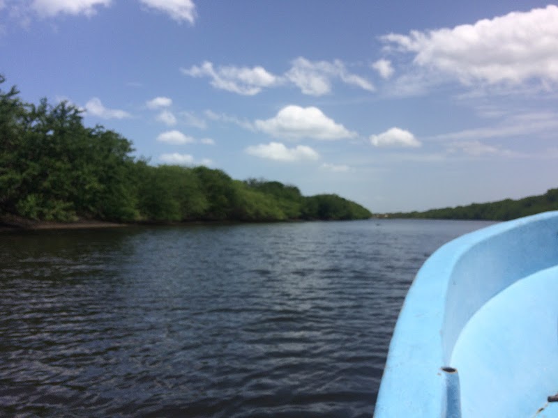 Discover the Natural Wonder of Isla Juan Venado - Reserva Natural Isla Juan Venado