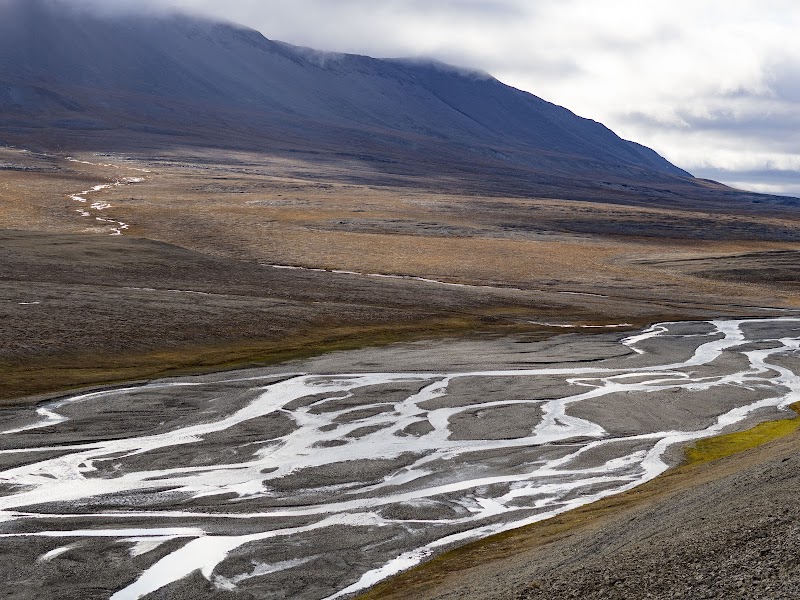 Wrangel Island: Wild Beauty in Russia's Far East - Wrangel Island