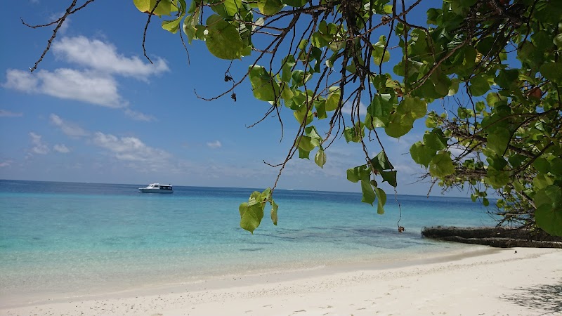 Serene Escapes at the Atolls of the Maldives - Atolls of the Maldives