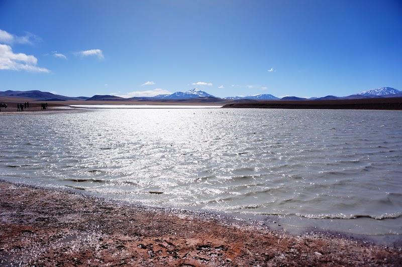 Serene Waters of Laguna Brava - Laguna Brava